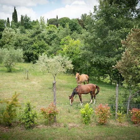 别墅 Vineyard's With Pool, Ac, Wifi - Siena